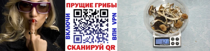 Галлюциногенные грибы мицелий  купить наркотики сайты  Ялта 